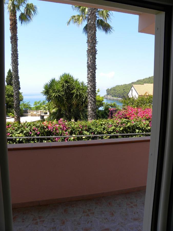 Comfortable Apartment In Maratea With Sea View 95 M² + Parking Εξωτερικό φωτογραφία
